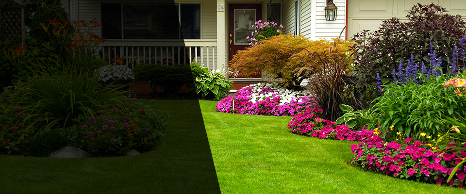 Lavon Landscapers