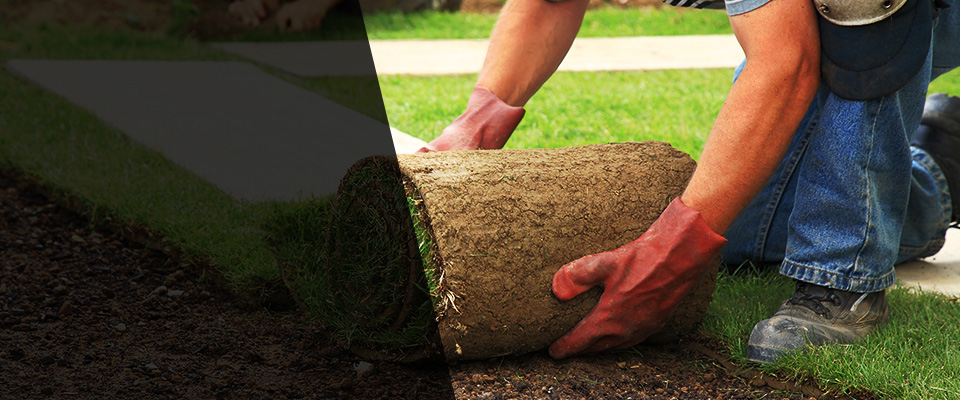 Lavon Landscapers